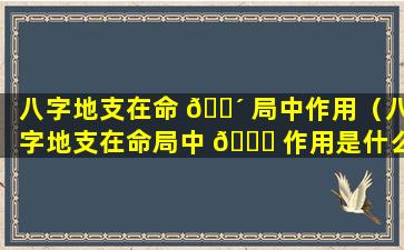 八字地支在命 🌴 局中作用（八字地支在命局中 🐒 作用是什么）